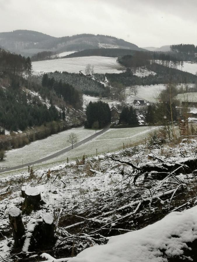 Kleines Ferienhaus Mit Charme Meschede Buitenkant foto